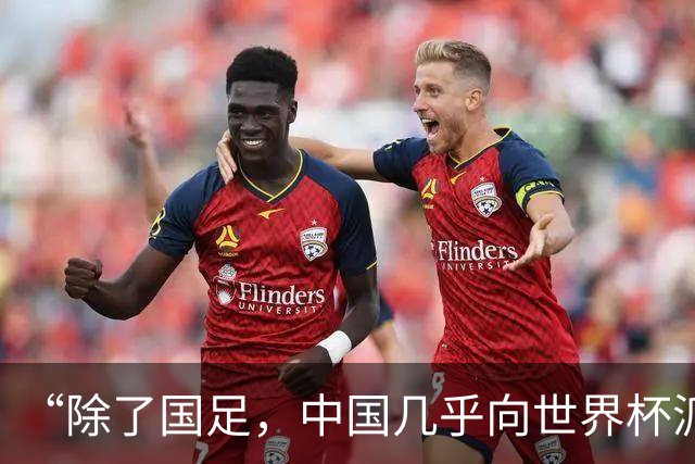 “除了国足，中国几乎向世界杯派去了一切”