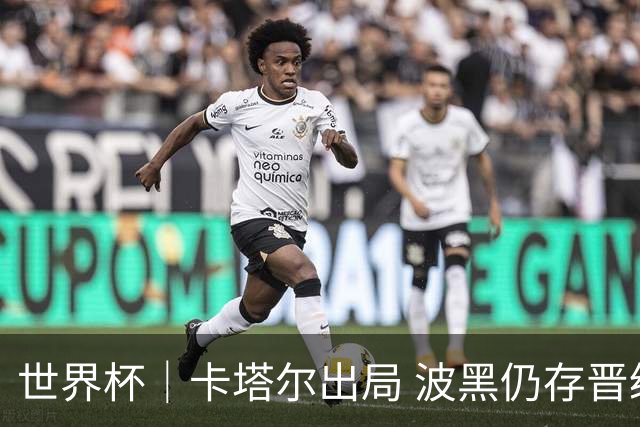 世界杯｜卡塔尔出局 波黑仍存晋级希望