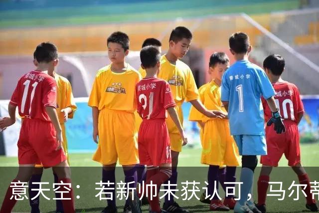 意天空：若新帅未获认可，马尔蒂尼和莱昂纳多或辞职