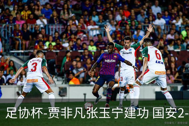 足协杯-贾非凡张玉宁建功 国安2-1大连可为晋级8强