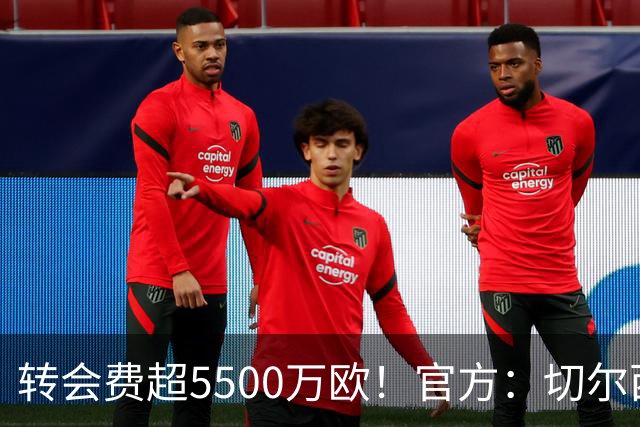转会费超5500万欧！官方：切尔西签下21岁帕莱斯特拉，签约7年