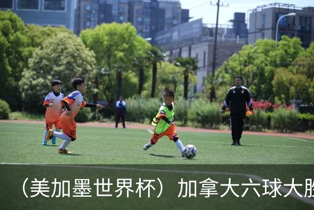（美加墨世界杯）加拿大六球大胜卡塔尔 韩国失误送墨西哥出线
